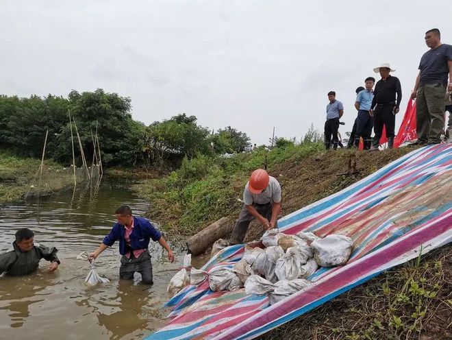 澳门·威尼斯人(中国)官方网站防汛抗灾：黄梅县各地各单位全力防汛救灾十三(图8)